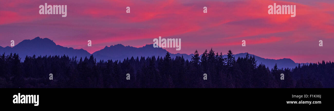 Magnifique coucher de soleil sur les montagnes olympiques, à l'Est de Puget Sound. État de Washington. USA Banque D'Images