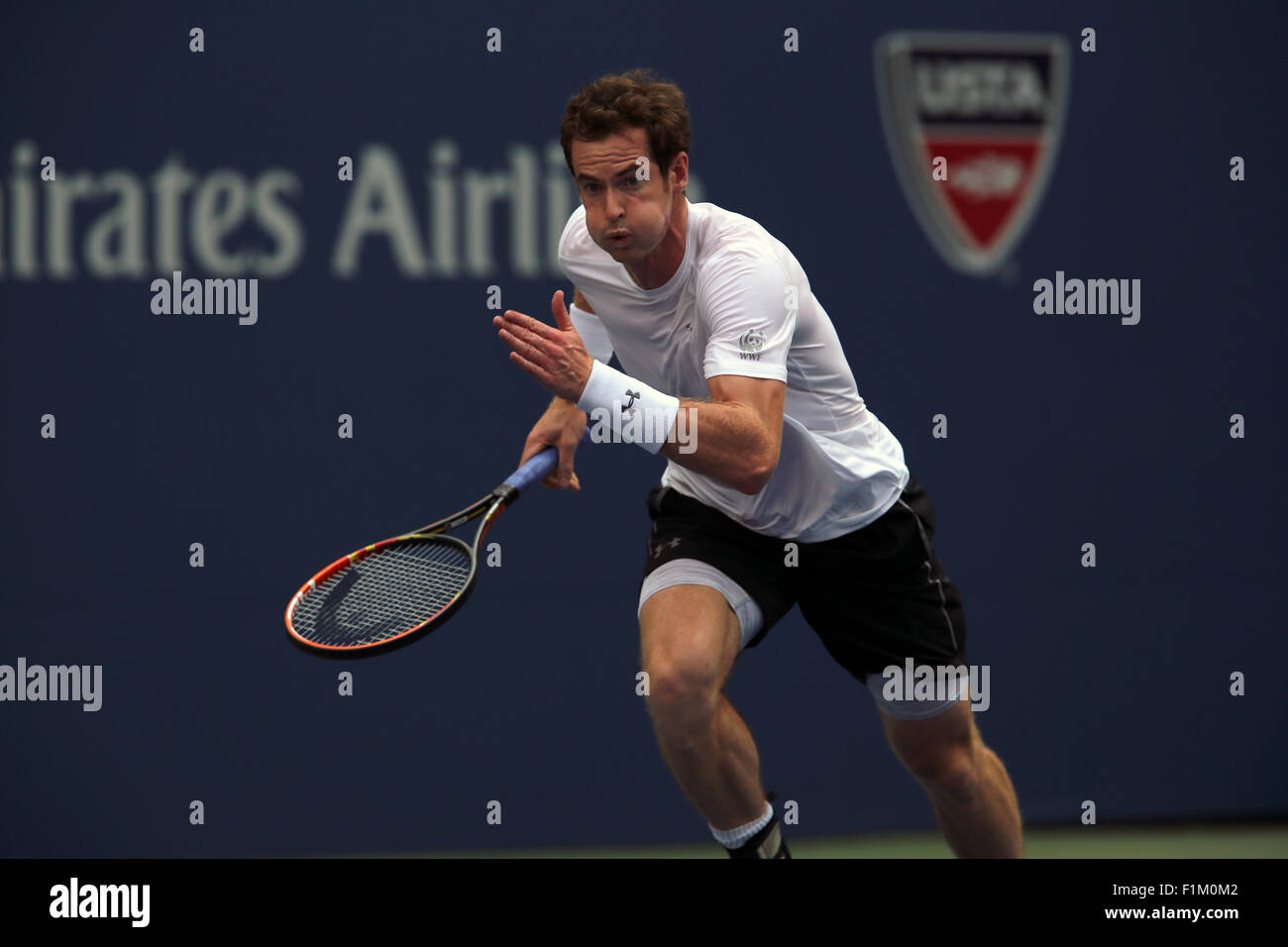 Flushing Meadows, New York, USA. 06Th Nov, 2015. Andy Murray la Grande-Bretagne en action au cours de son deuxième tour contre Adrian Mannarino France à l'US Open à Flushing Meadows, New York. Murray a remporté le match en cinq sets après avoir perdu les deux premiers sets. Crédit : Adam Stoltman/Alamy Live News Banque D'Images