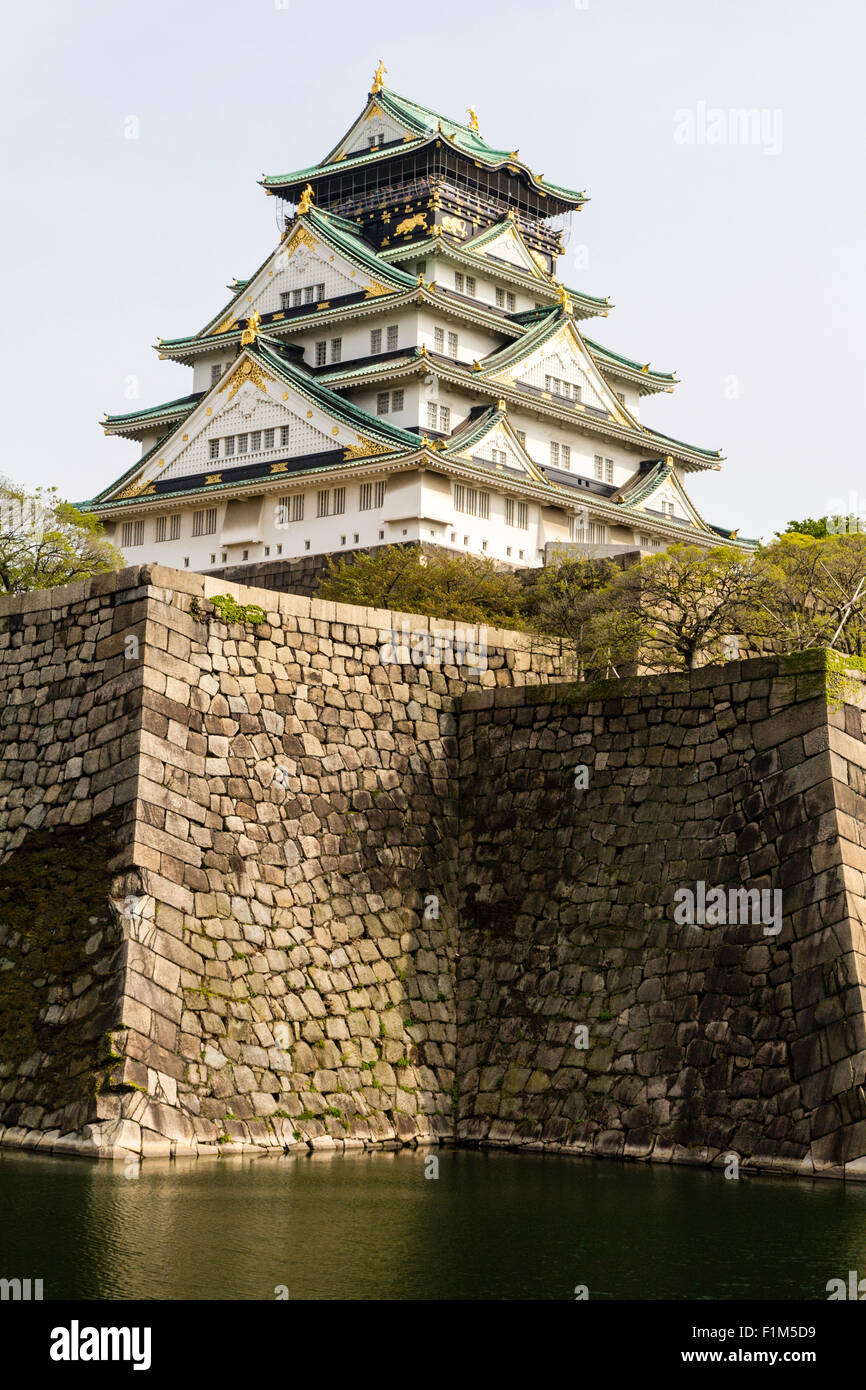Château d'Osaka, garder dans borogata style, avec des murs blancs et des toits verts, au-dessus des murs en pierre d'Ishigaki entourant le honmaru. Banque D'Images