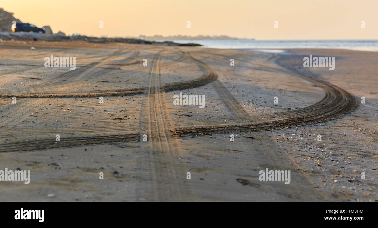 Plage de sable avec des coquillages et des traces de la bande de roulement des machines Banque D'Images