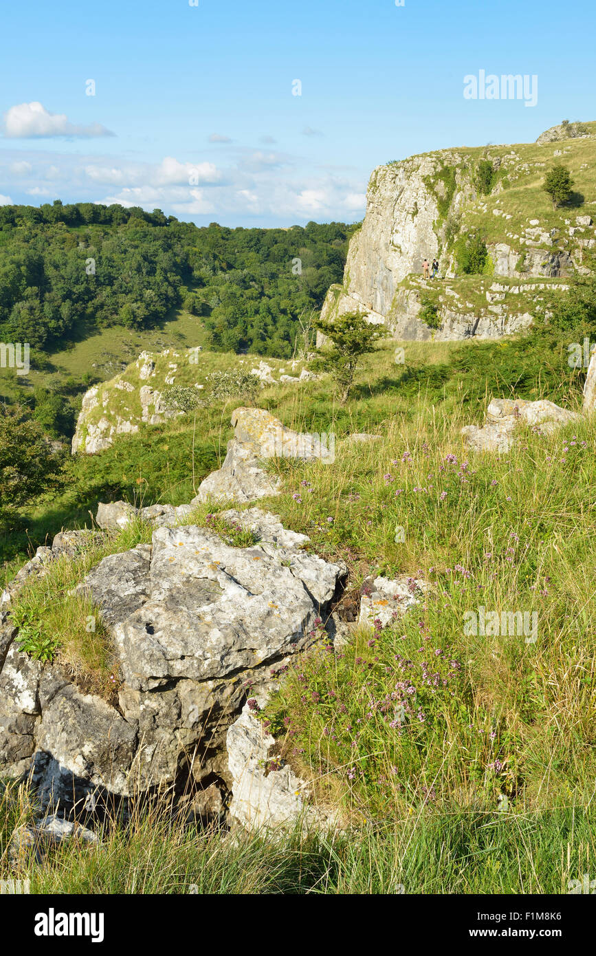 Les gorges de Cheddar, collines de Mendip, Somerset côté sud du haut des falaises Banque D'Images