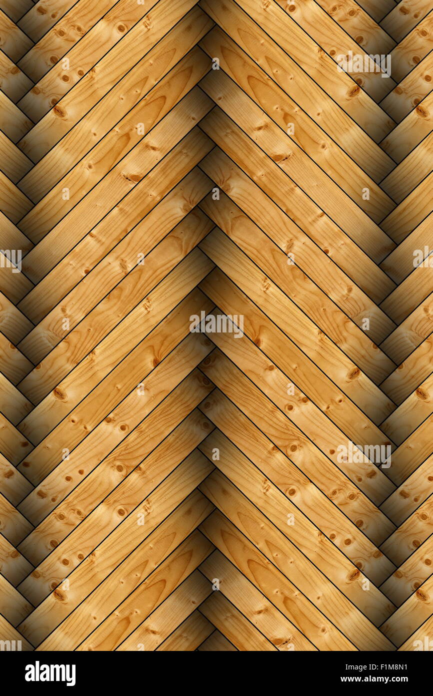 Gros plan du sol de l'épinette formant penderie Banque D'Images