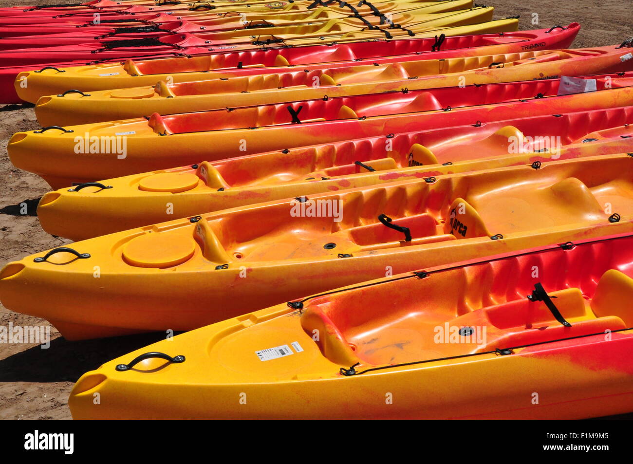 Kayaks colorés sur la plage Banque D'Images