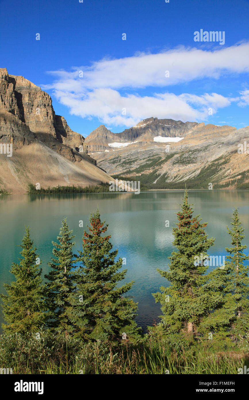 Le Canada, l'Alberta, parc national de Banff, le lac Bow, Banque D'Images