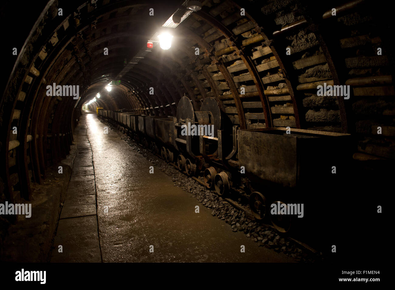 Une vue de l'arbre sur le sol lumineux locaux de l'ancien musée Julia/Thorez mine, aujourd'hui connu sous le nom de 'vieille Mine', en Walbrzych, Pologne, le 3 septembre 2015. Un char allemand de la Seconde Guerre mondiale est situé à une profondeur de 70 mètres entre les points milliaires 60 et 65 dans une cachette souterraine à l'intérieur de la mine. Selon des légendes locales, deux trains de réservoir, qui ont disparu sans laisser de traces dans les derniers mois de la Seconde Guerre mondiale, lorsqu'elle est cachée dans le repaire souterrain. La cargaison du train, cependant, reste l'objet de nombreuses spéculations dans le monde entier. Photo : Arno Burgi/d Banque D'Images