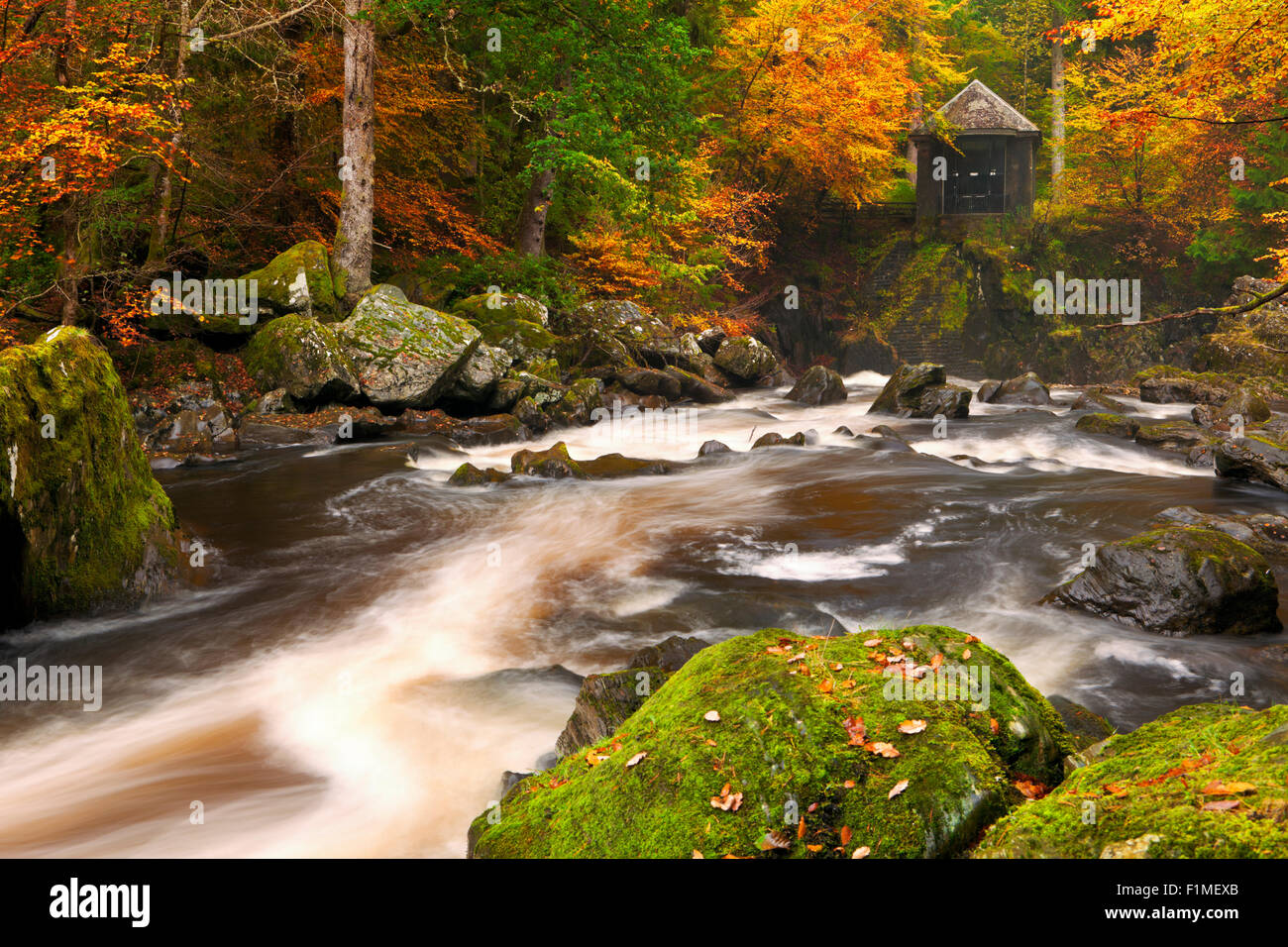 Rivière par couleurs d'automne à l'Hermitage près de Dunkeld en Ecosse. Banque D'Images