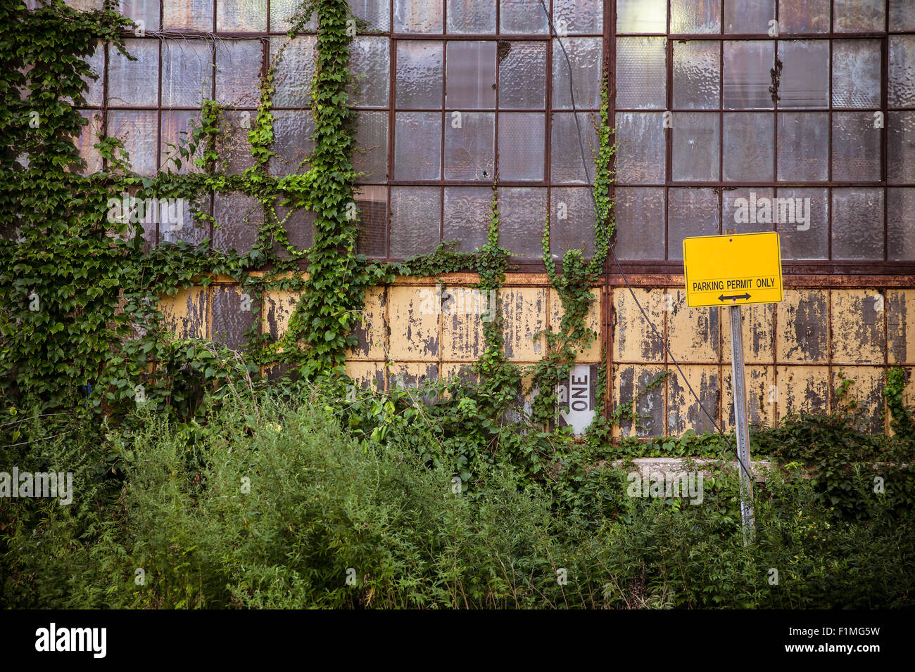 L'extérieur de l'ancien bâtiment industriel abandonné avec windows et envahi par les mauvaises herbes Banque D'Images
