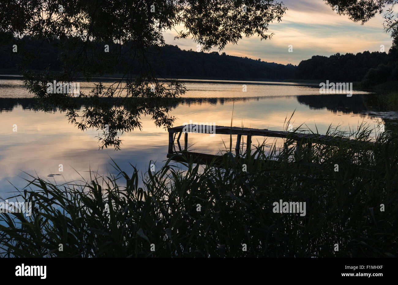 L'été, proche du lac de la forêt. Banque D'Images