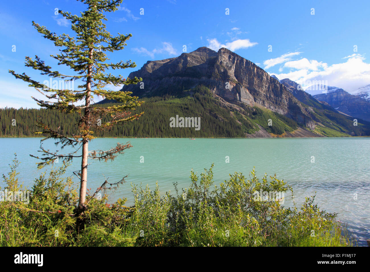 Le Canada, l'Alberta, parc national de Banff, Lake Louise, Banque D'Images