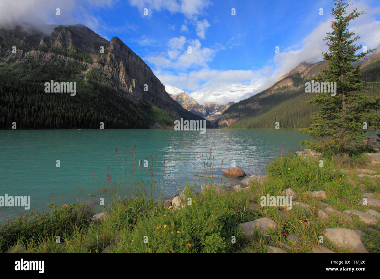 Le Canada, l'Alberta, parc national de Banff, Lake Louise, Banque D'Images