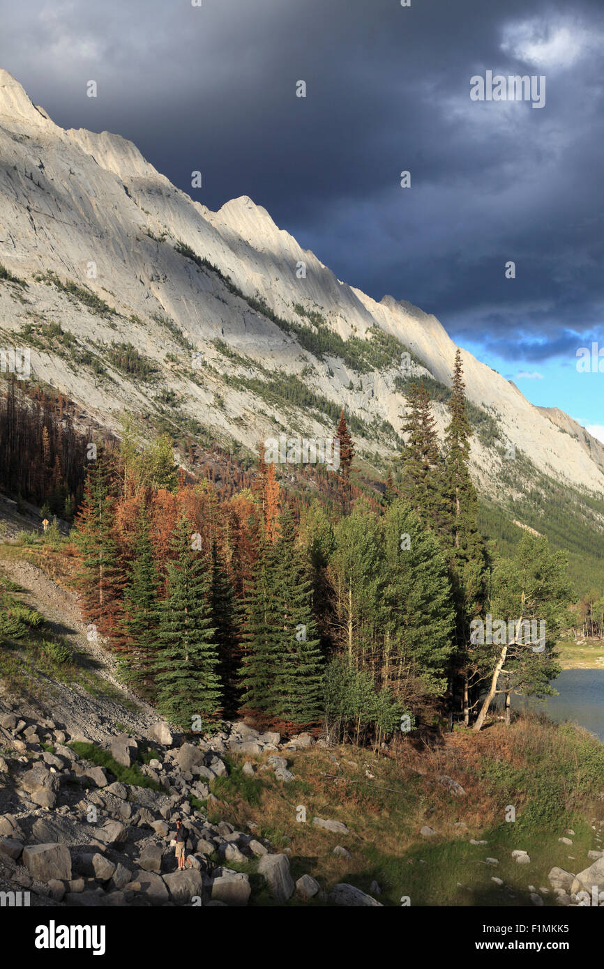 Le Canada, l'Alberta, Parc National de Jasper, le lac Medicine, Banque D'Images