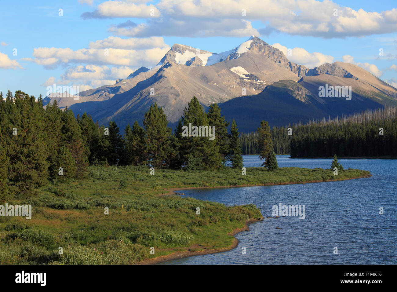 Le Canada, l'Alberta, le Parc National Jasper, le lac Maligne, Banque D'Images