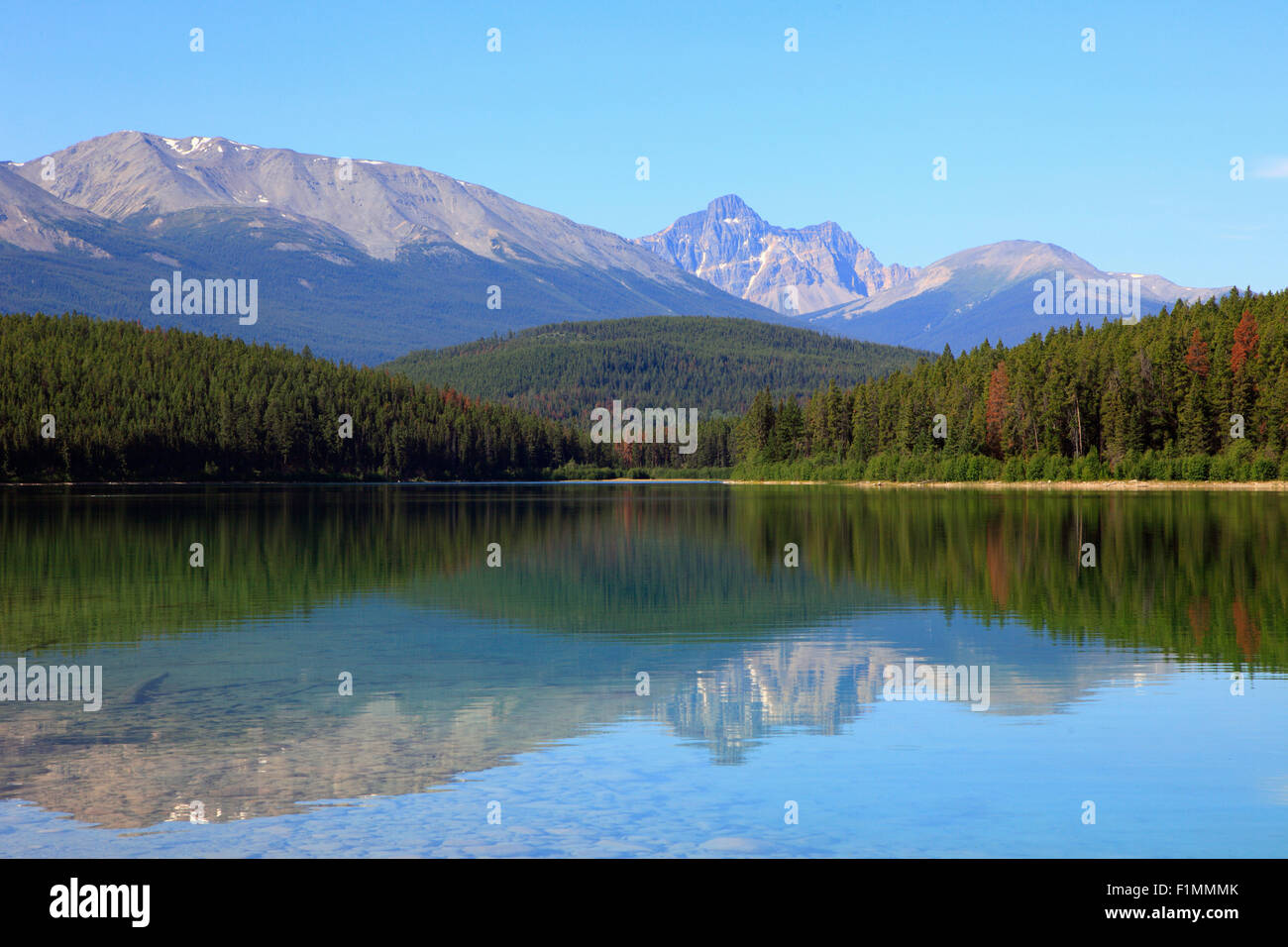 Le Canada, l'Alberta, le Parc National Jasper, le lac Patricia, Banque D'Images