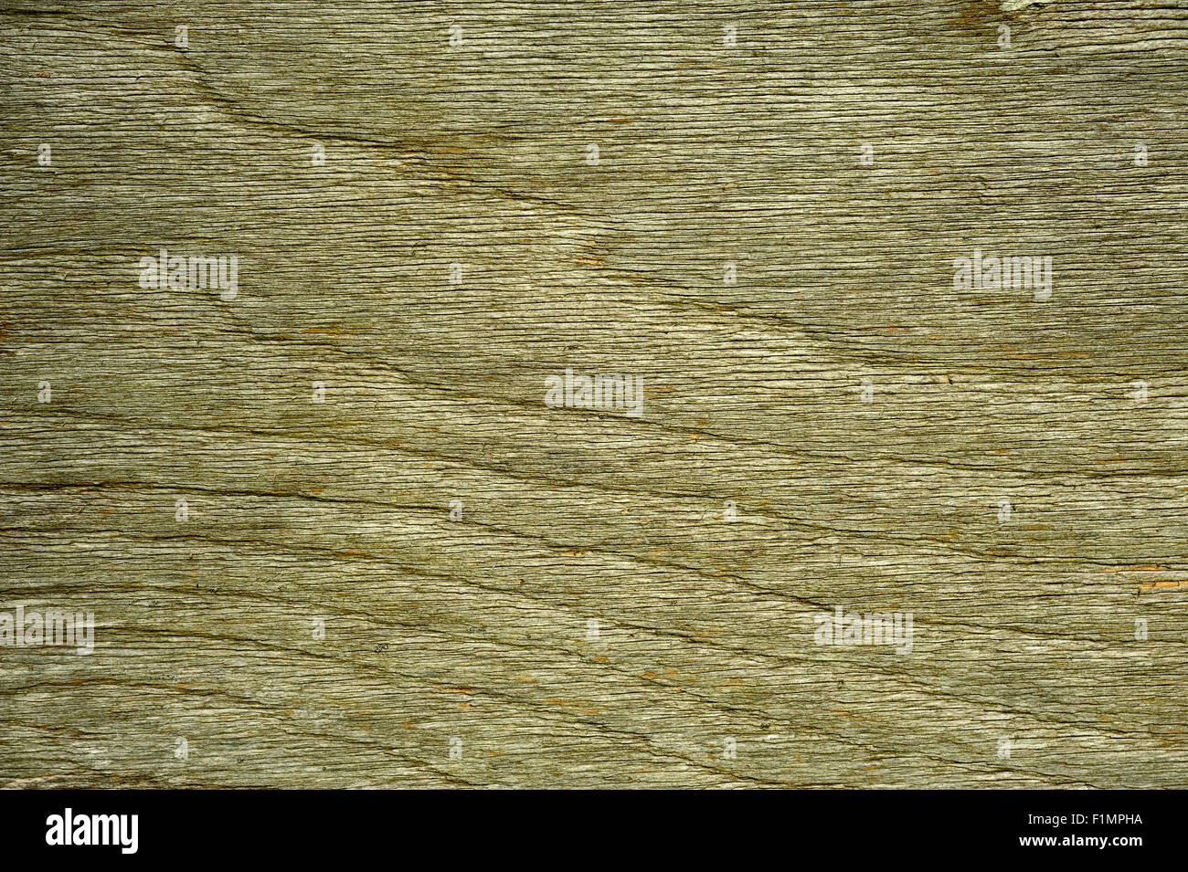 Planche en bois texture Banque D'Images