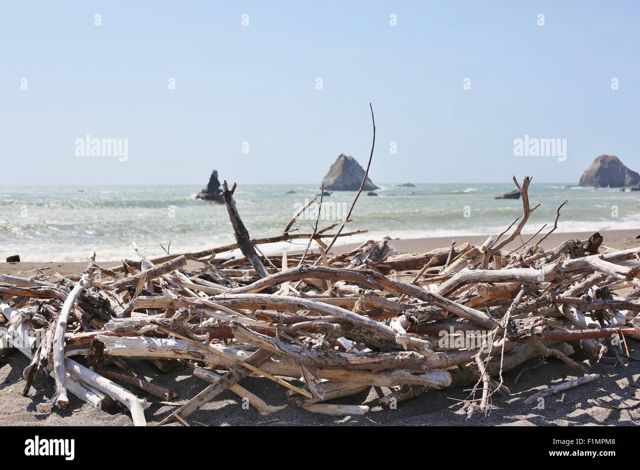 Une pile de bois de dérive sur une plage en Californie du nord. Banque D'Images