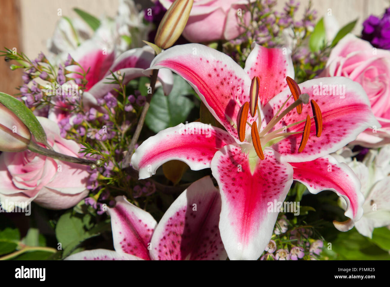 Un Lys Blanc Et Rose Dans Un Beau Bouquet De Fleurs