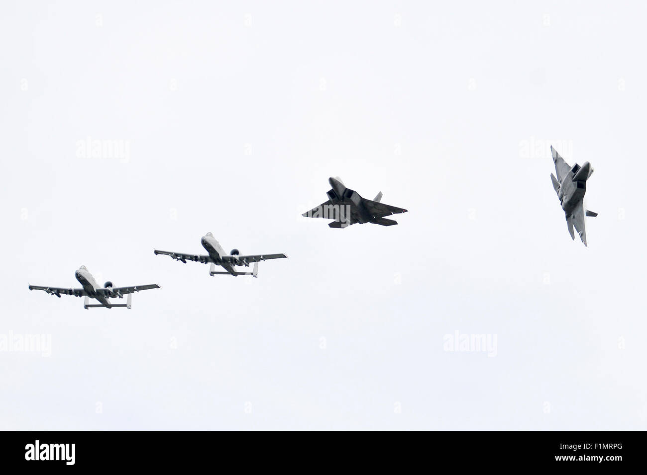Amari. 16Th Jun 2015. A-10 et F-22 US Airforce avions volent au-dessus de la base aérienne d'Amari en Estonie le 4 septembre 2015. Les Forces aériennes américaines en Europe et l'Afrique de l'air faites des affaires publiques de vols d'essai à la base aérienne d'Amari, l'Estonie, un renforcement de l'augmentation des opérations de vol dans la mer Baltique et l'Europe, ainsi que de l'Estonie d'appuyer les déploiements de rotation des avions de l'US Air Force. Crédit : Sergei Stepanov/Xinhua/Alamy Live News Banque D'Images