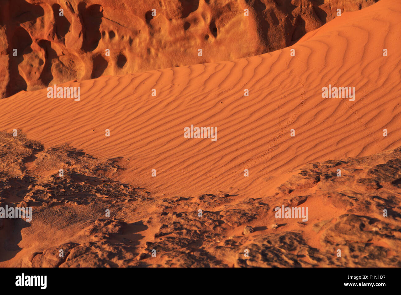 La texture du sable du désert dans le désert de Wadi Rum, Jordanie Banque D'Images