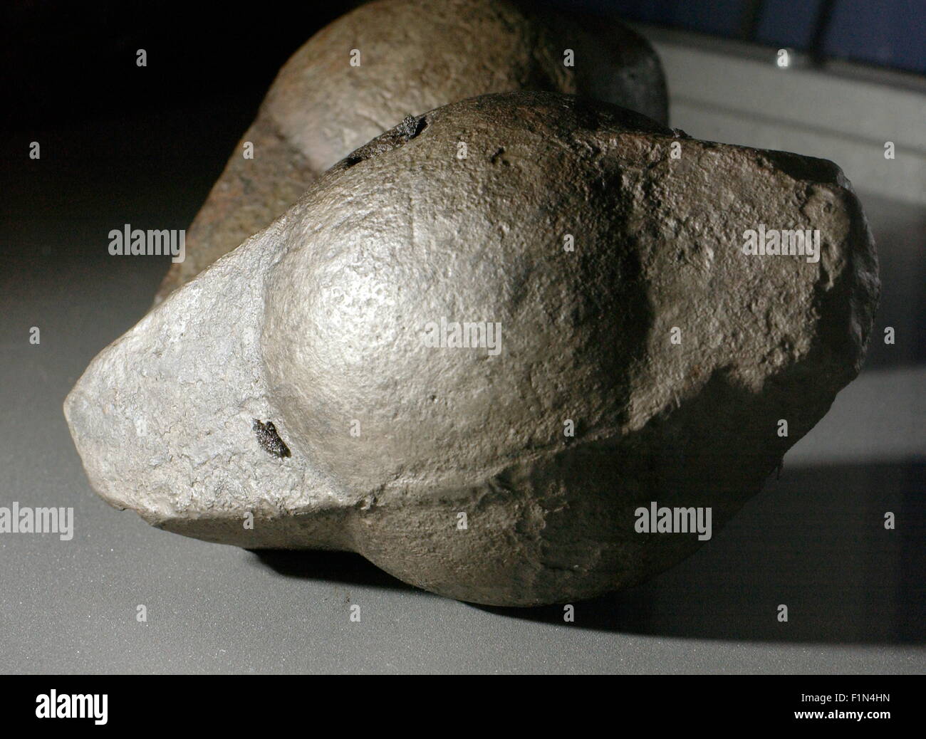 AJAXNETPHOTO - 20 août 2008, Visby, Suède - HUMA - Patrimoine - Archéologie Sous-Marin County Museum Exposition d'objets récupérés de sites de plongée sur la côte ouest de l'île de Gotland récupérés sur des épaves de navires qui Danish-Lubeck a sombré au large de l'île en 1566. Cannon Ball avec ailes trapues ; une arme mortelle. Maintenant derrière une vitre dans le County Museum. PHOTO:JONATHAN EASTLAND/AJAX REF:82008 1295 Banque D'Images