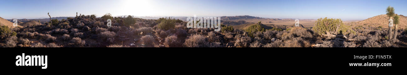 Panorama 360° tourné sur Ryan Mountain dans le parc national de Joshua Tree, en Californie. Montrant le paysage de rochers Banque D'Images