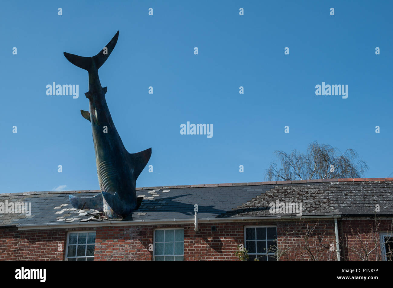 Headington Shark sculpture, Oxford, Royaume-Uni Banque D'Images