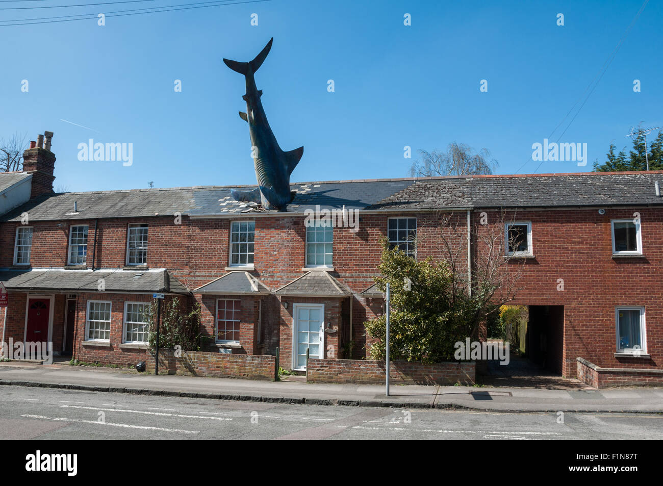 Headington Shark sculpture, Oxford, Royaume-Uni Banque D'Images