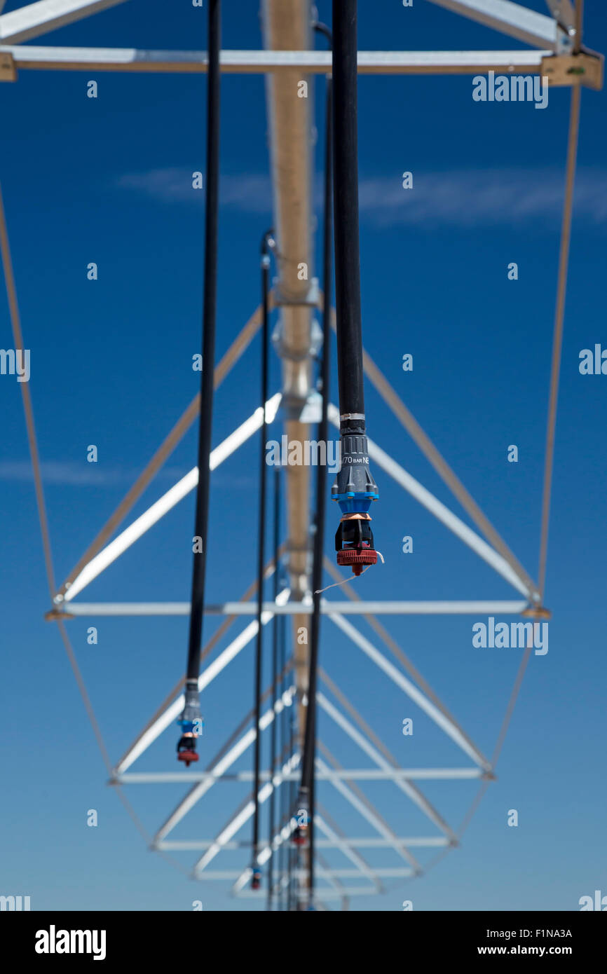 Fort Lupton, Colorado - Arroseurs pendaison de nouveau matériel d'irrigation à pivot central installé sur une ferme du Colorado. Banque D'Images