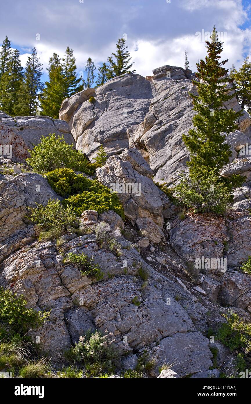 Rocky Wyoming State. Rocky Wyoming Paysage dans la photographie verticale. Banque D'Images
