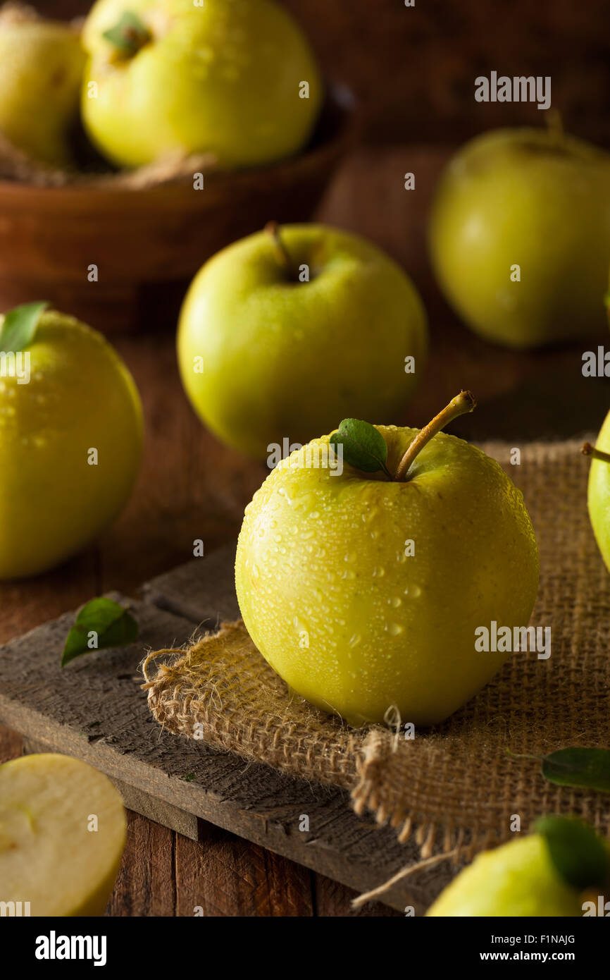 Pommes Golden Delicious biologiques crus prêt à manger Banque D'Images