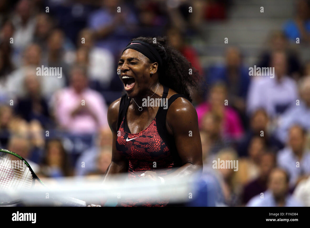 New York, USA. Le 4 septembre, 2015. Serena Williams célèbre un moment donné au cours de son troisième match contre Bethanie Mattek-Sands à l'US Open à Flushing Meadows, New York le 4 septembre 2015. Williams a remporté le match en trois sets après avoir perdu le premier set à Mattek-Sands. Crédit : Adam Stoltman/Alamy Live News Banque D'Images