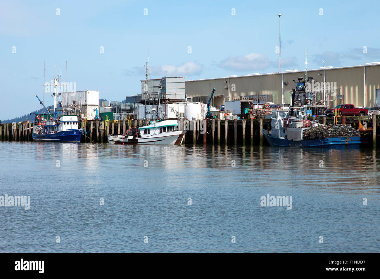 Décharger des cargaisons des navires de pêche au port de commerce à Astoria dans l'Oregon. Banque D'Images