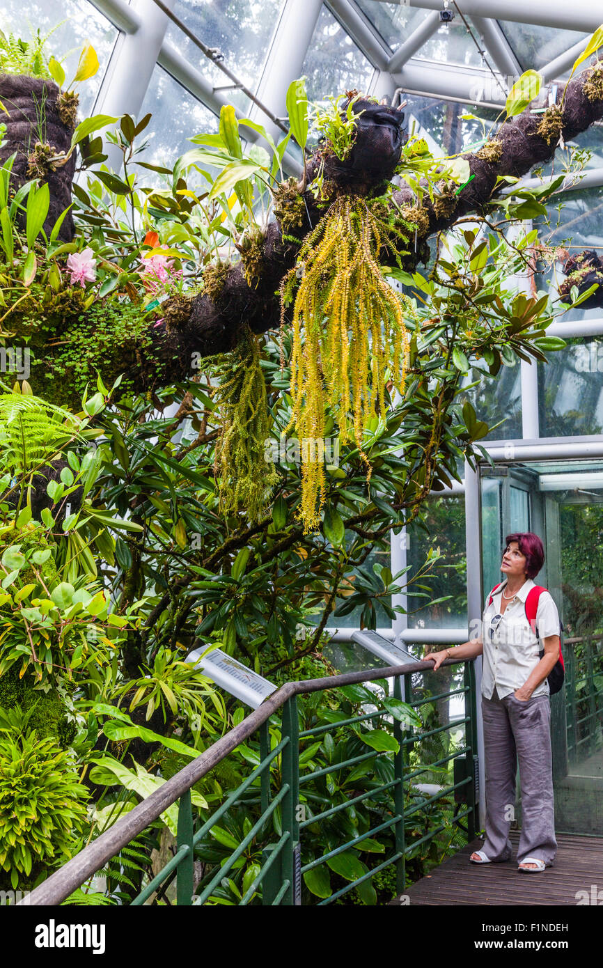 Tan Hoon Siang Mist Chambre à Singapour le Botanic Gardens Banque D'Images