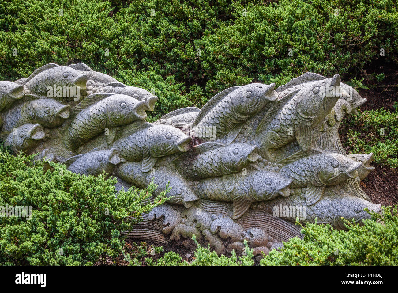 La pierre d'un haut-fond de Koi's dans les vagues au Singapore Botanic Gardens Banque D'Images