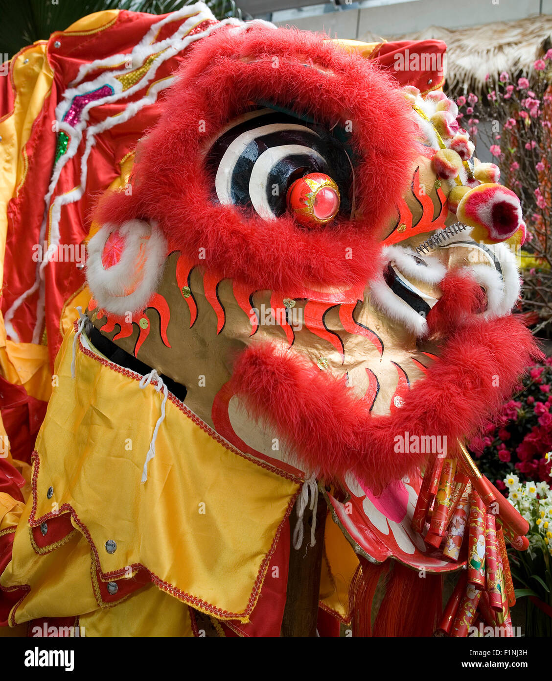 Pièces De Tête De Dragon Chinois Utilisés Dans Les Danses Pour La  Célébration Traditionnelle. Banque D'Images et Photos Libres De Droits.  Image 46530126