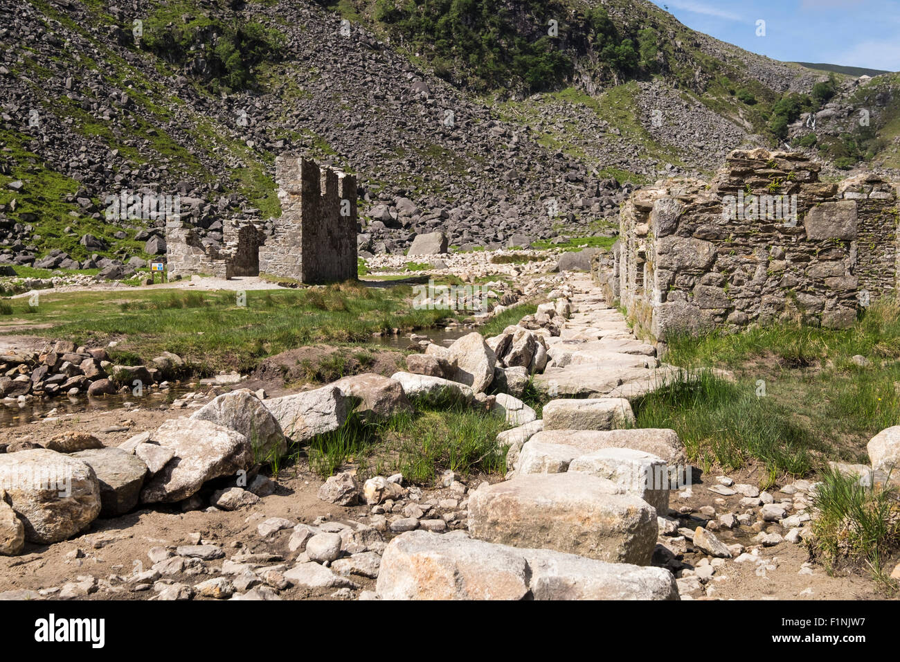 Chemin à travers le village de mineurs abandonnés en haut de la partie supérieure du lac à Glendalough, comté de Wicklow, en Irlande. Banque D'Images