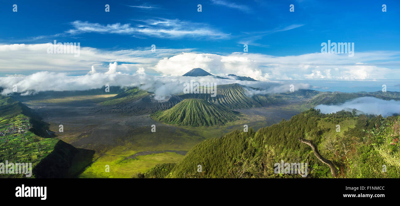 Le Mont Bromo et volcans Batok dans panorama Parc National de Bromo Tengger Semeru, l'Est de Java, Indonésie. Banque D'Images