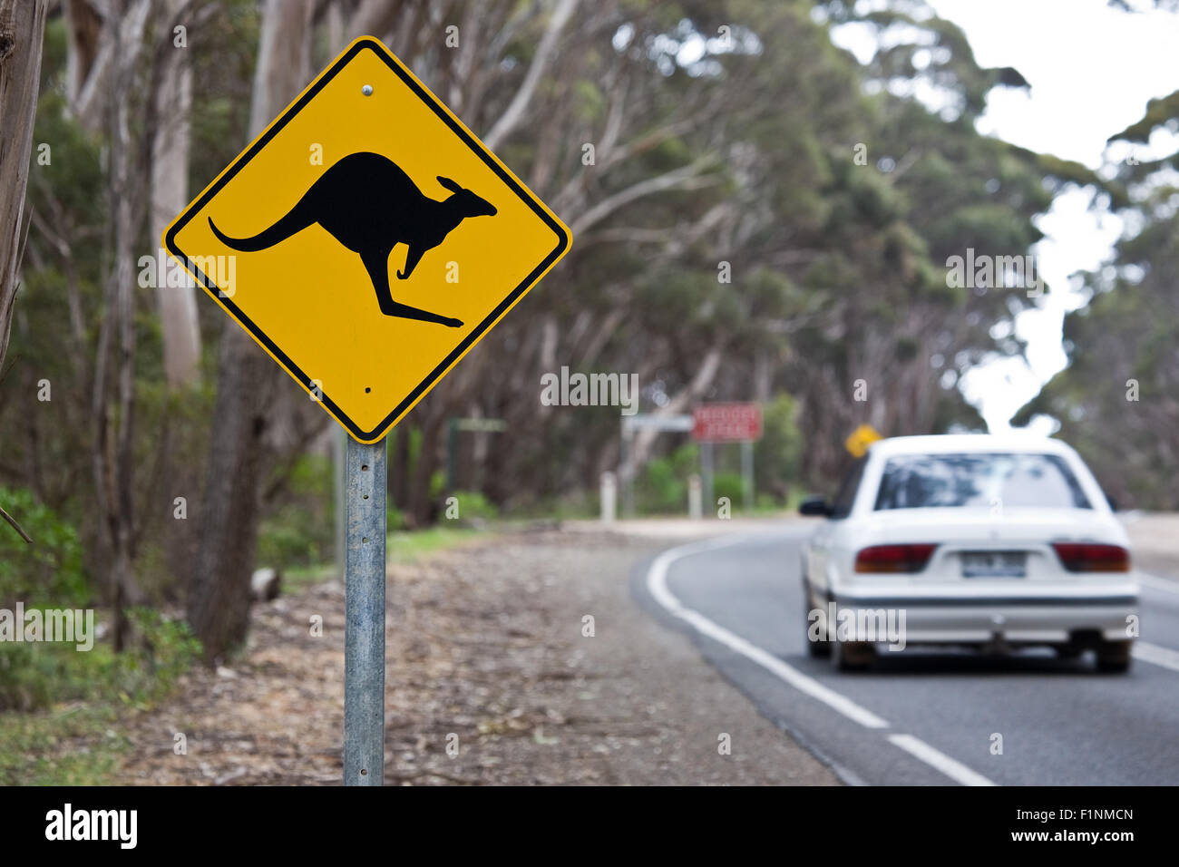 Signe de kangourou sur une route Banque D'Images