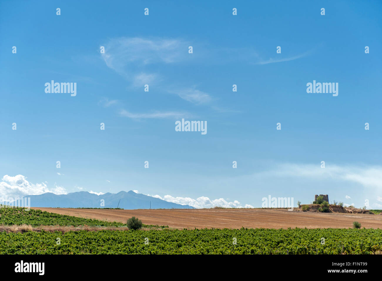 Vue sur les Albères montagnes de Baixas, un petit village viticole dans les Pyrénées-Orientales, près de Perpignan, France Banque D'Images