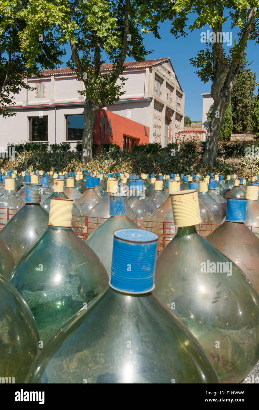 Au Mas Amiel, vin doux naturel mûrit dans "touries" au titre de l'Ciel bleu du Roussillon à l'échéance. Maury, Vallée de l'Agly, France Banque D'Images