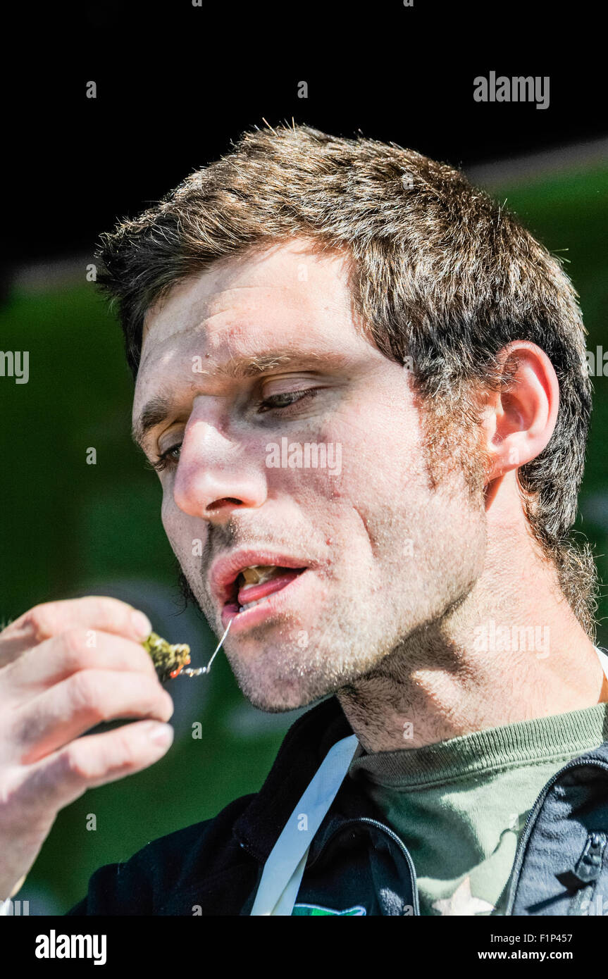 Motocycliste et présentateur de télévision Guy Martin (Tyco BMW Motorrad) essaie, mais n'aime pas, une huître à l'Oyster Festival International de Hillsborough. Banque D'Images