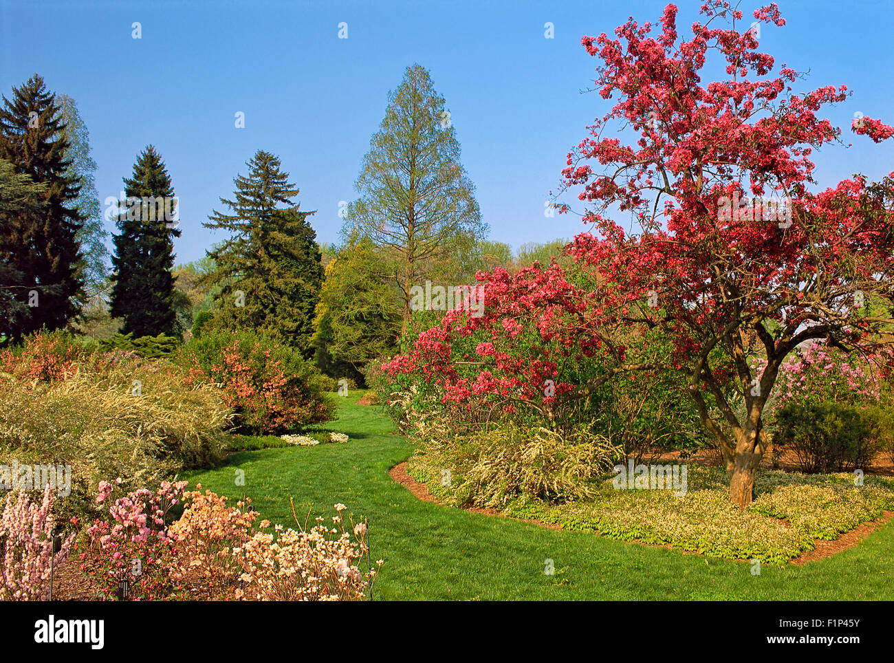 Jardins de Winterthur, Wilmington, Delaware, USA Banque D'Images