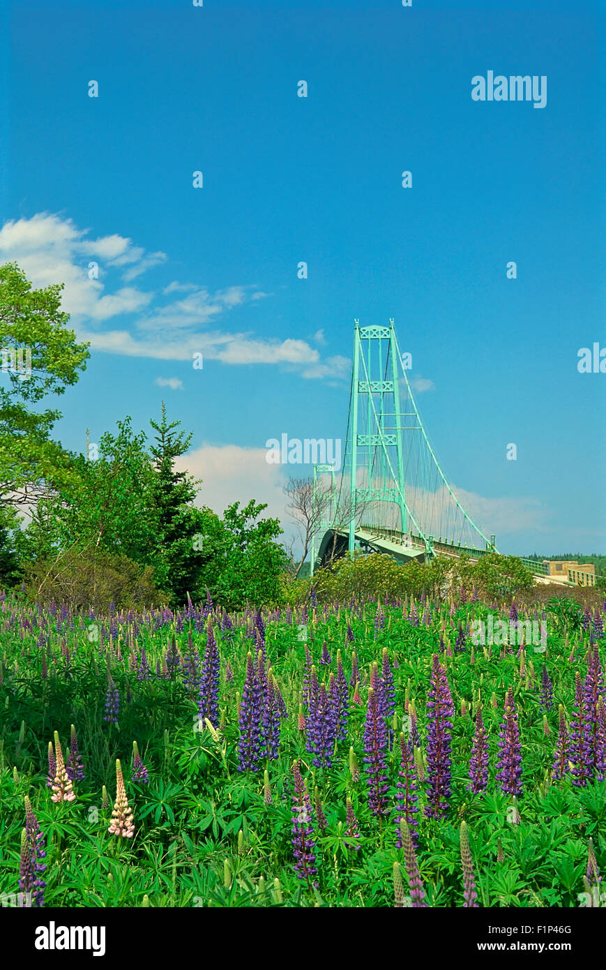 Route 15, Pont de Sargentville, Maine, USA Banque D'Images