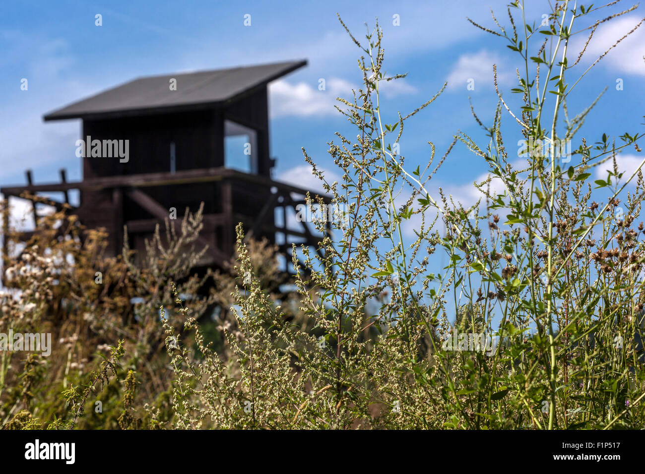 Mémorial Vojna, Musée des victimes du communisme, près de Pribram, République tchèque, Europe, Watchtower en bois Tchécoslovaquie communisme Banque D'Images
