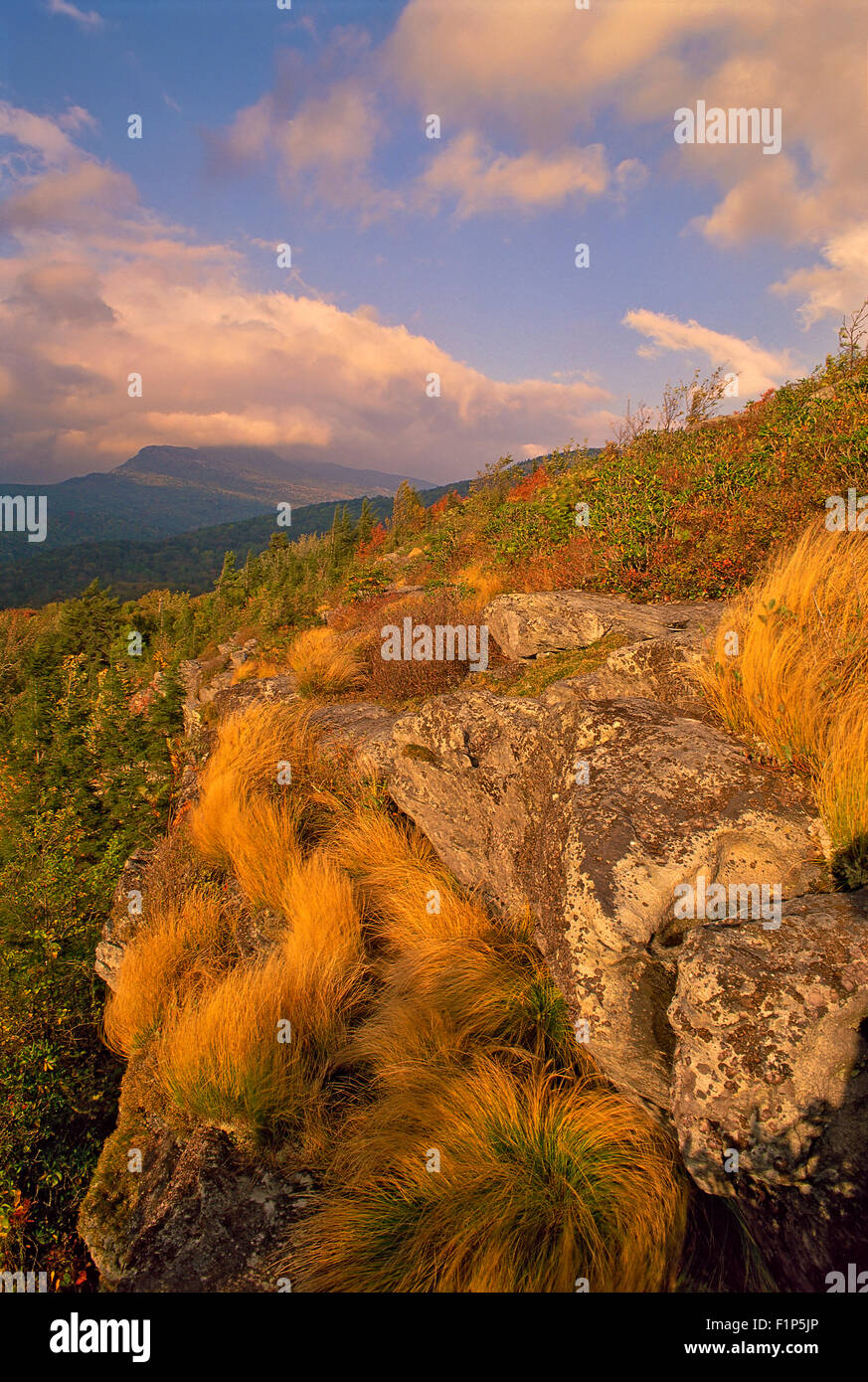 Grandfather Mountain vu de Flat Rock, Blue Ridge Parkway, North Carolina, USA Banque D'Images