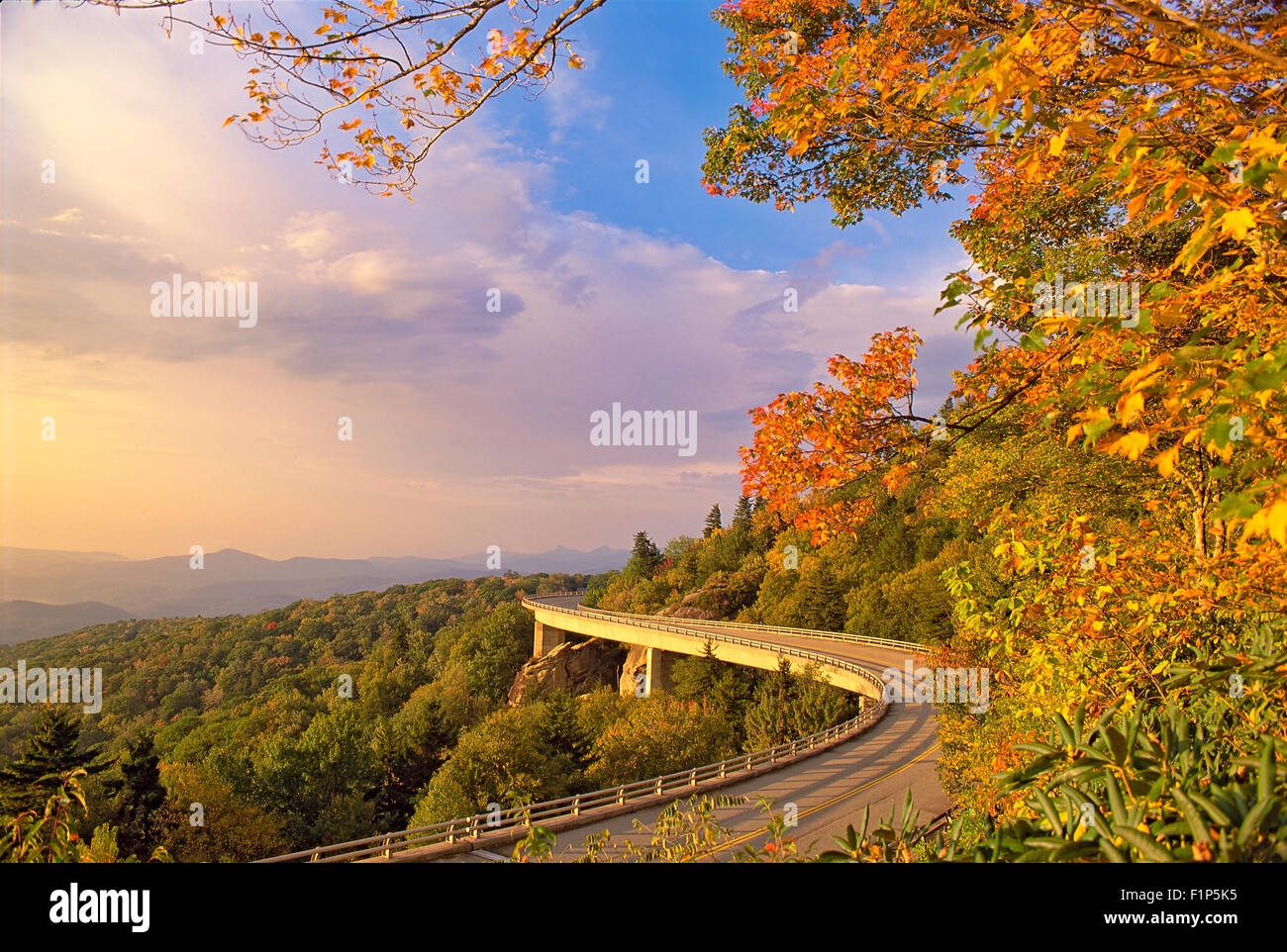 Linn Cove Viaduc, Blue Ridge Parkway, Grandfather Mountain, North Carolina, USA Banque D'Images