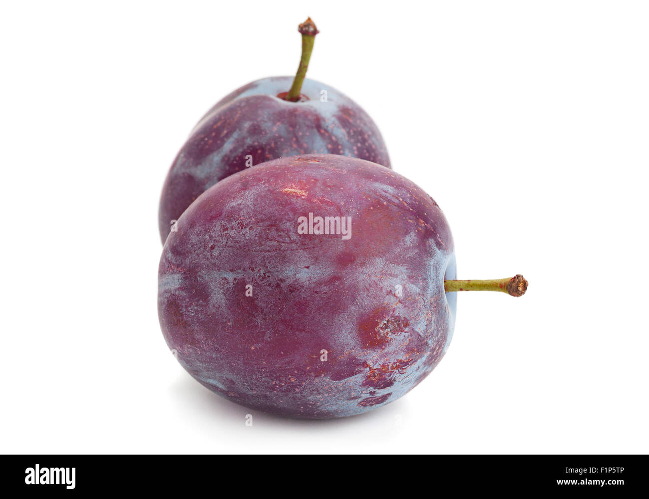 Gros plan prune isolated on white Banque D'Images