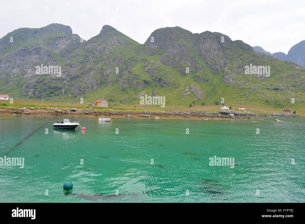 Îles de Moskenes, Lofoten : Vinstad Harbour dans le fjord Banque D'Images