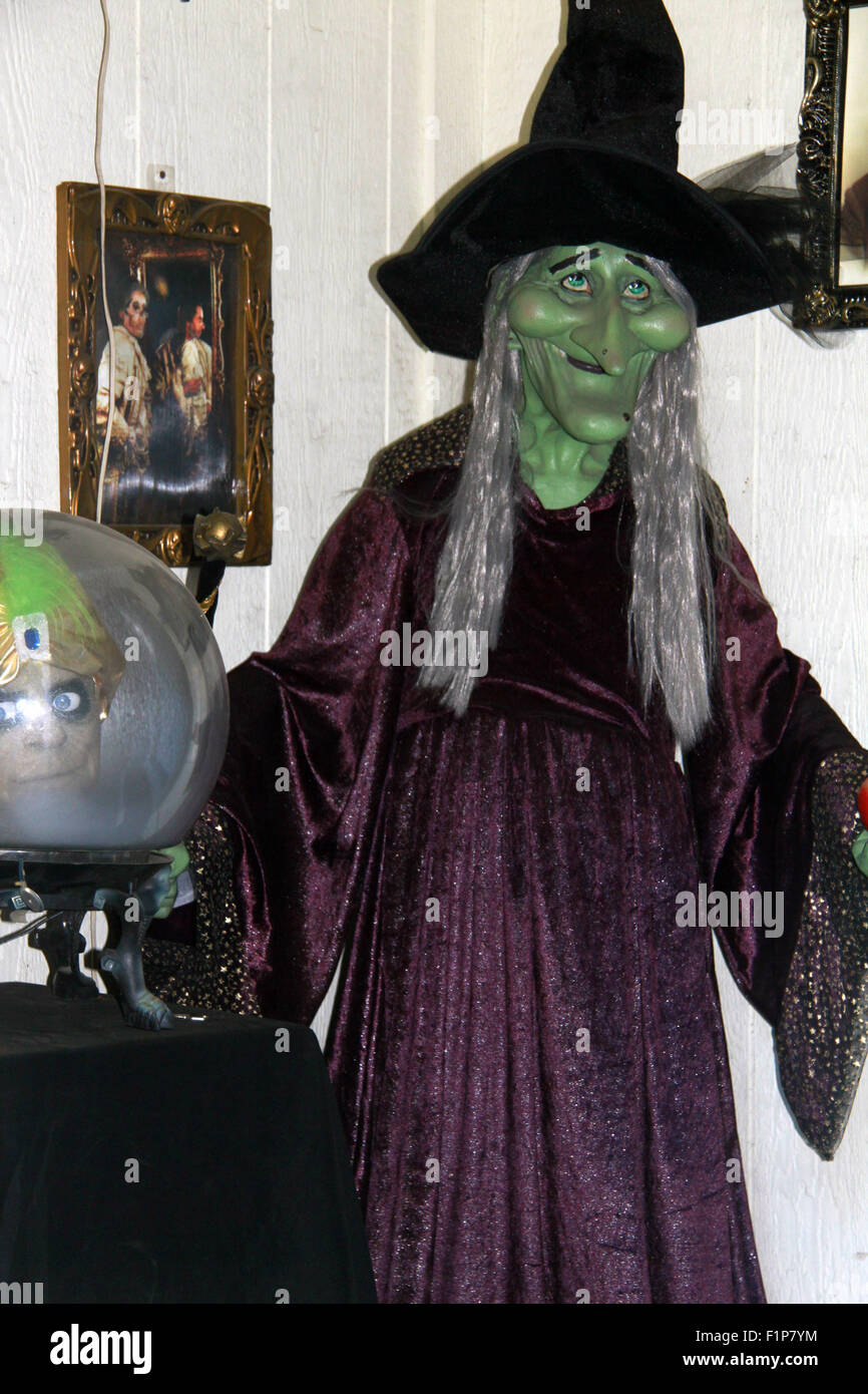 Une sorcière Halloween avec chapeau pointu, la peau verte et à long cheveux argentés se tient à côté d'une boule de cristal à l'Halloween Banque D'Images