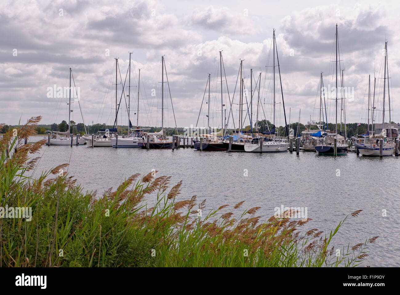 Les voiliers s'amarrer à une marina sur la côte est du Maryland. Banque D'Images