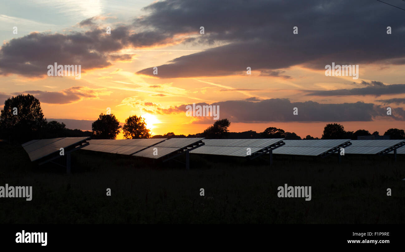 Farrington ferme solaire au coucher du soleil Banque D'Images